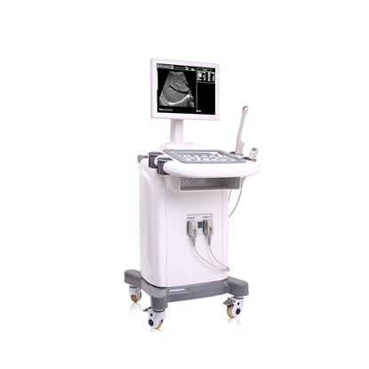 Image de Mobile Benchtop Diagnostic Ultrasound System Workstation