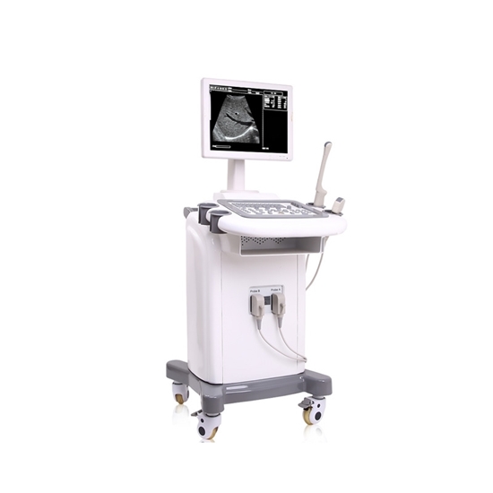 Image sur Mobile Benchtop Diagnostic Ultrasound System Workstation