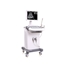 Picture of Mobile Benchtop Diagnostic Ultrasound System Workstation